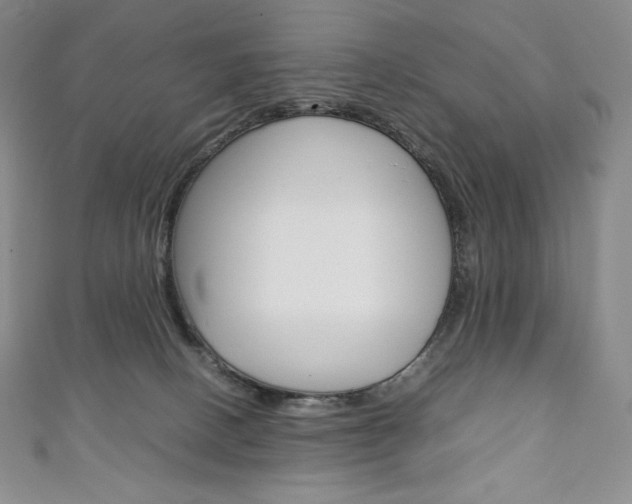 X0000111140082200906301026