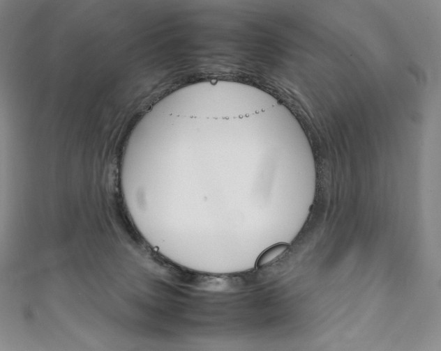 X0000111140083200906301026