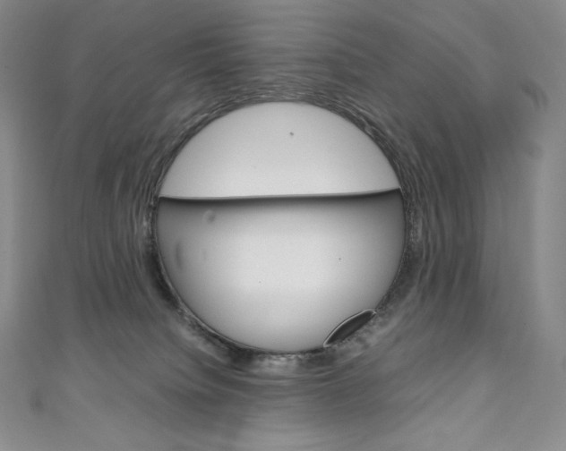 X0000111140084200906301026