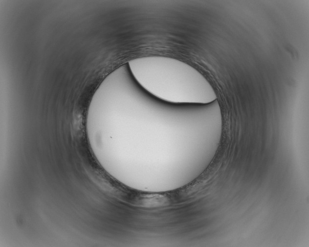 X0000111140087200906301026
