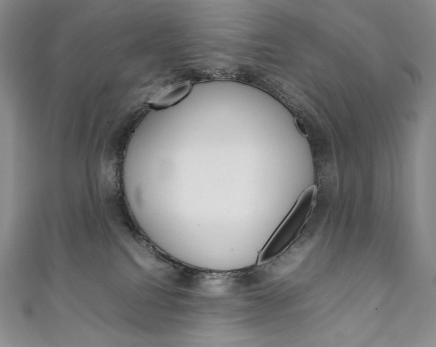 X0000111140088200906301026