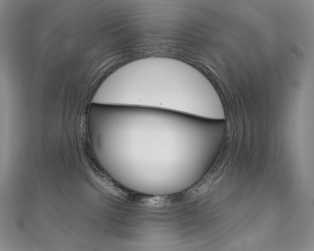 X0000111140092200906301026