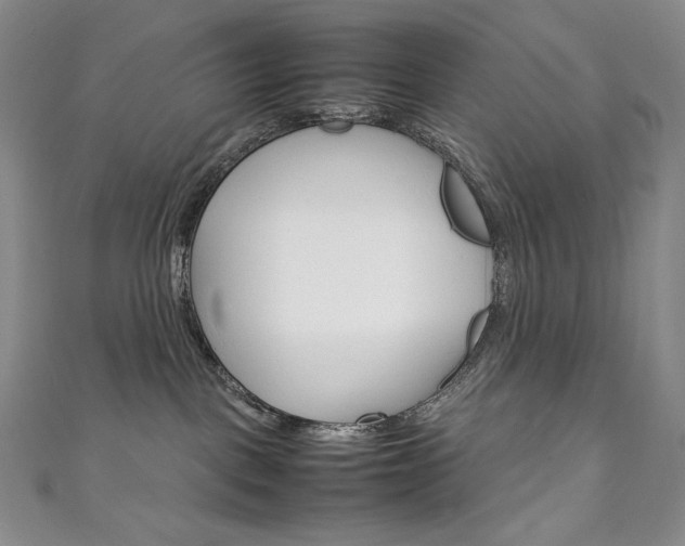 X0000111140093200906301026