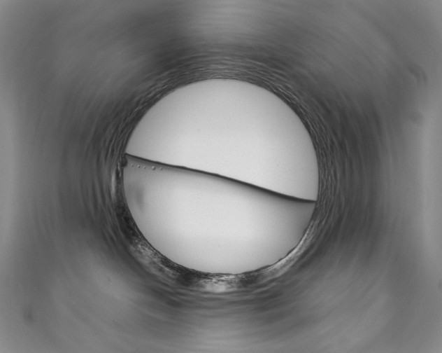 X0000111140094200906301026