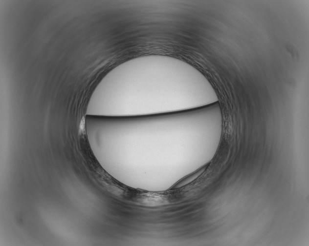 X0000111140095200906301026