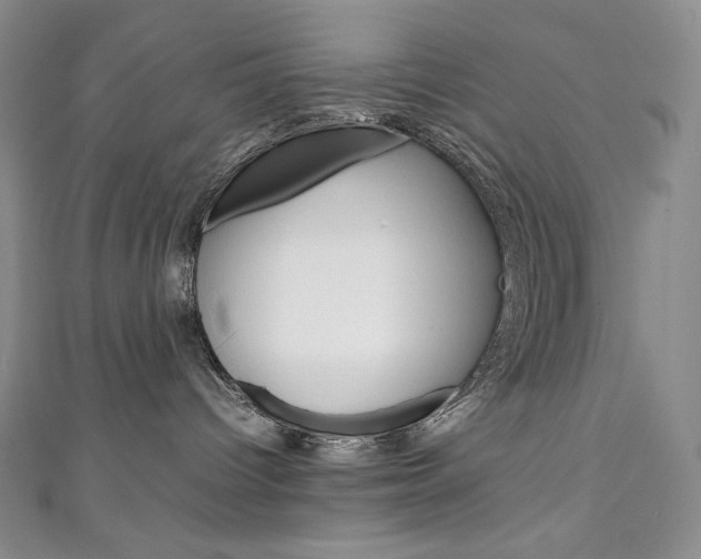 X0000111140096200906301026