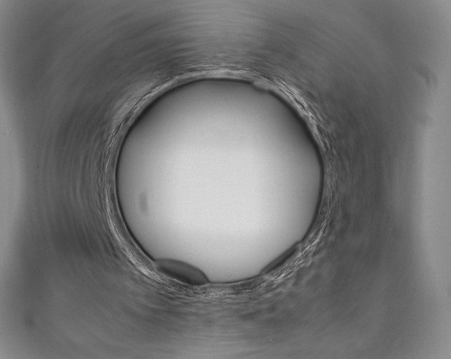 X0000111140097200906301025