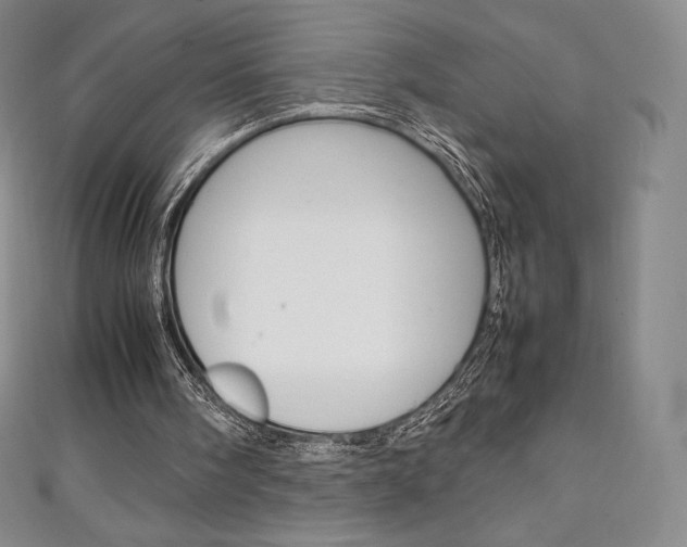 X0000111140098200906301025