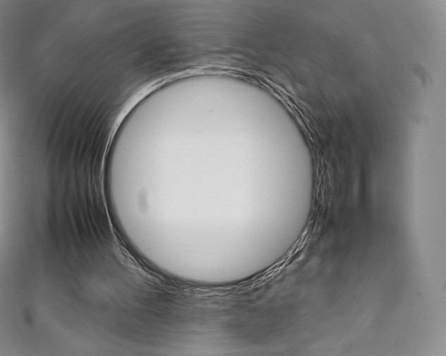 X0000111140100200906301025