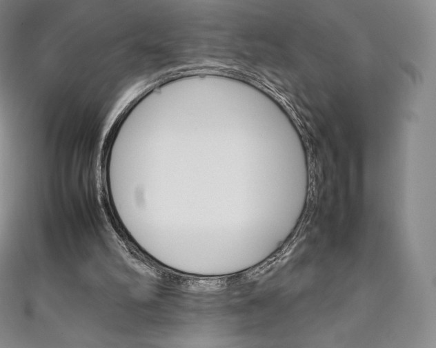 X0000111140102200906301025