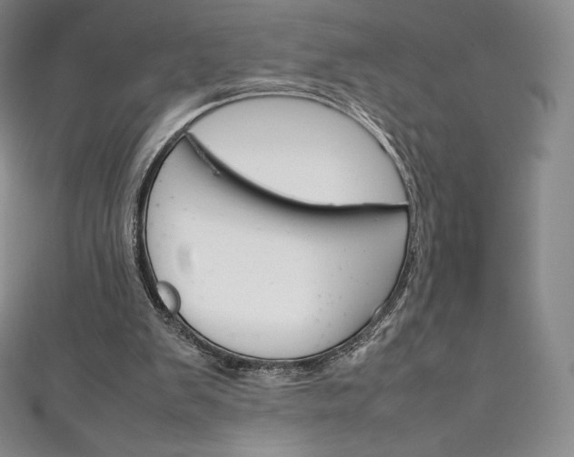 X0000111140103200906301025