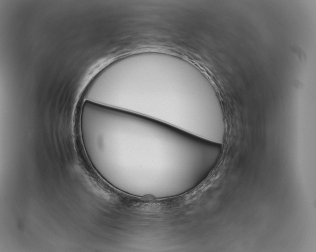 X0000111140104200906301025