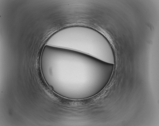 X0000111140105200906301025