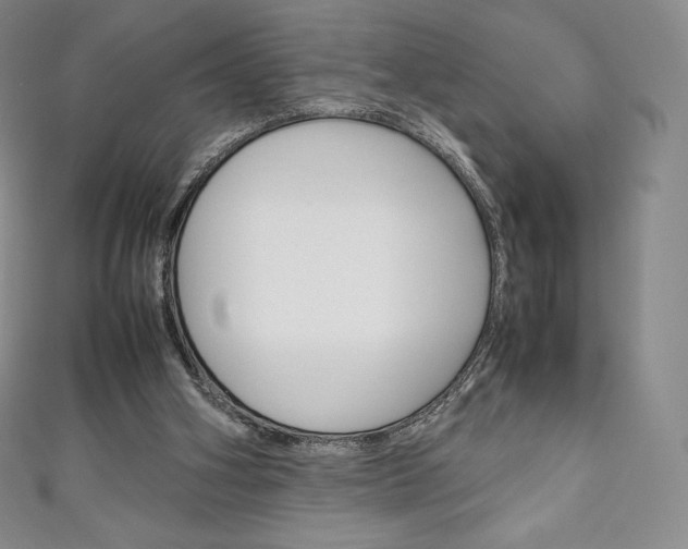 X0000111140106200906301025