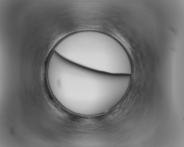 X0000111140107200906301025