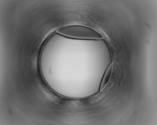 X0000111140108200906301025