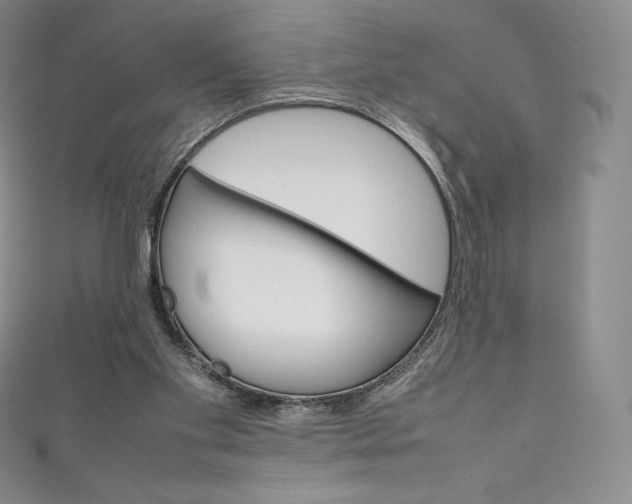 X0000111140109200906301025