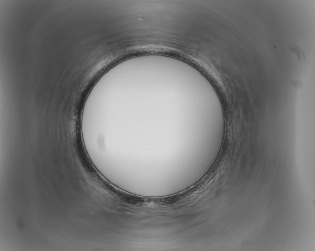 X0000111140111200906301025