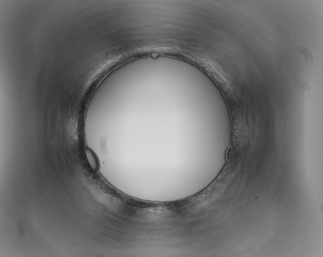 X0000111140112200906301025