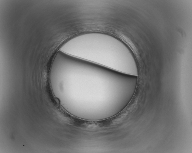 X0000111140113200906301025