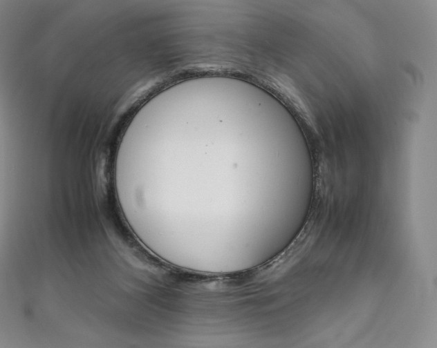 X0000111140116200906301025