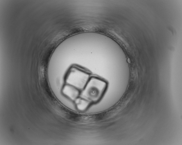 X0000111140117200906301025
