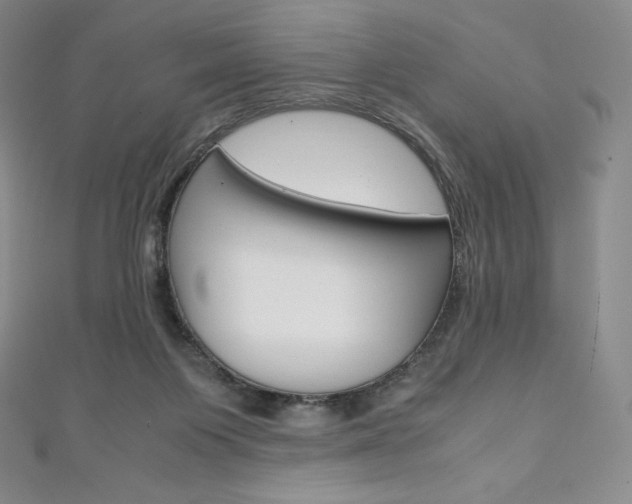 X0000111140119200906301025