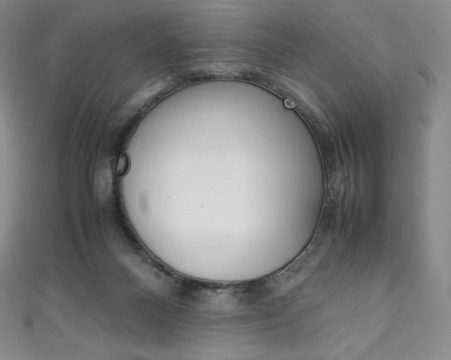 X0000111140120200906301025