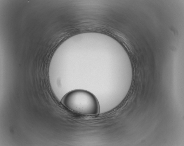 X0000111140121200906301025