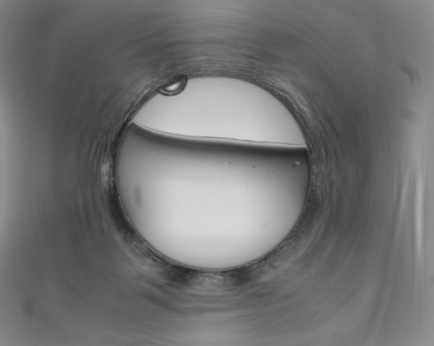 X0000111140123200906301025
