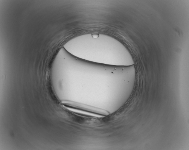 X0000111140125200906301025