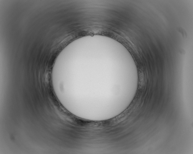 X0000111140126200906301025