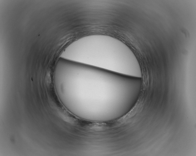 X0000111140128200906301025