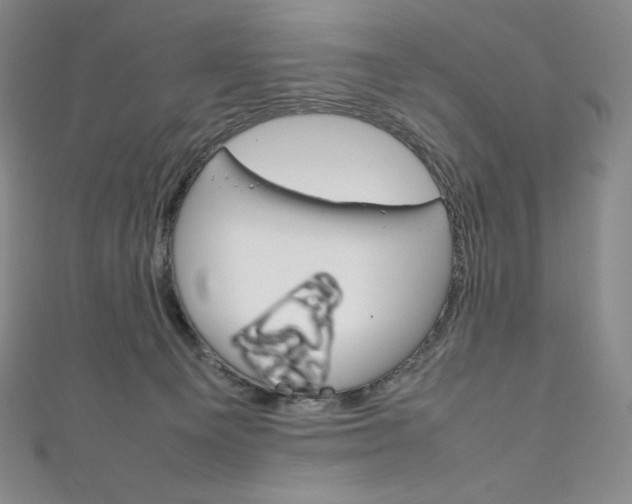 X0000111140129200906301025