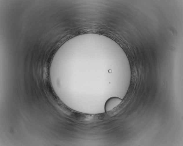 X0000111140130200906301025
