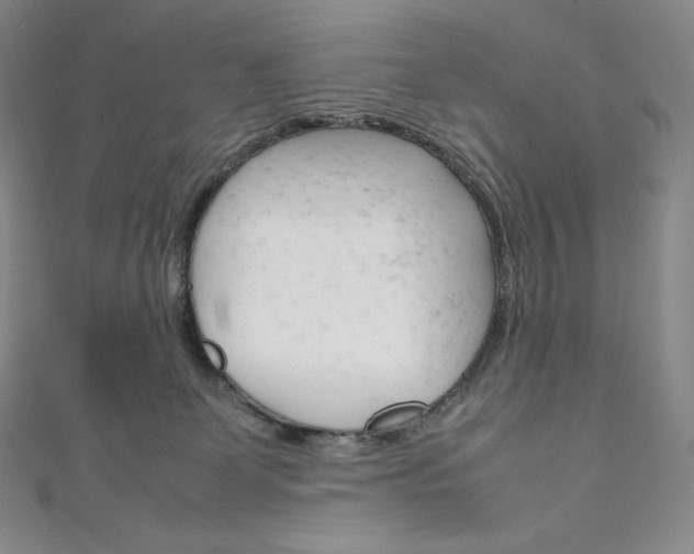 X0000111140131200906301025