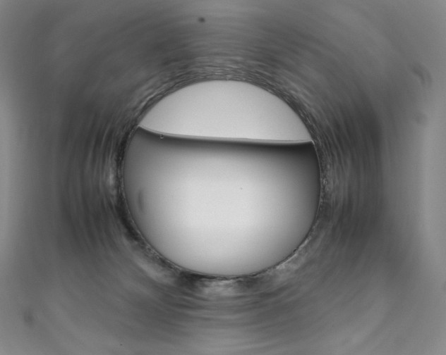 X0000111140132200906301025