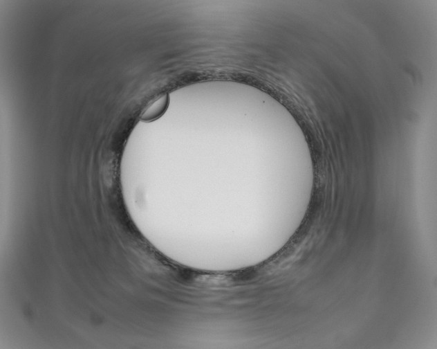 X0000111140133200906301024