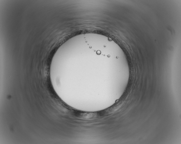 X0000111140135200906301024