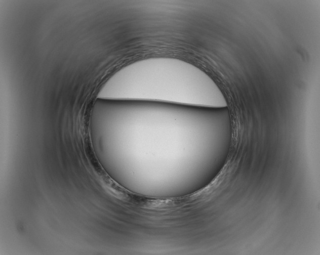 X0000111140136200906301024