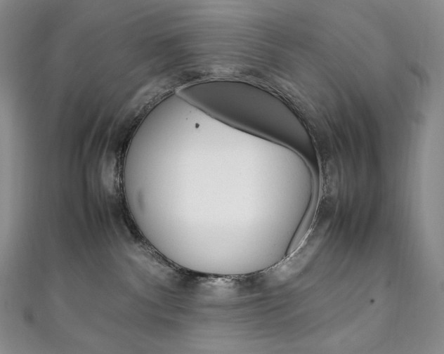 X0000111140140200906301024