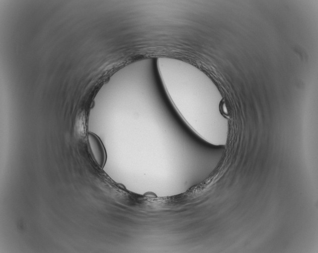 X0000111140143200906301024