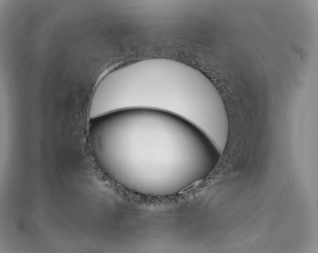 X0000111140144200906301024