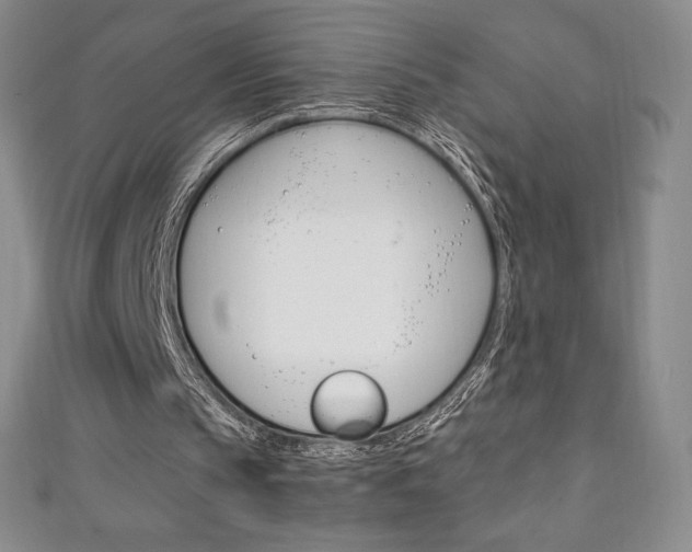 X0000111140145200906301024