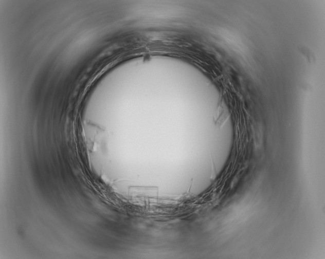 X0000111140146200906301024