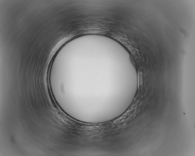 X0000111140147200906301024
