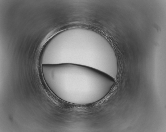 X0000111140150200906301024