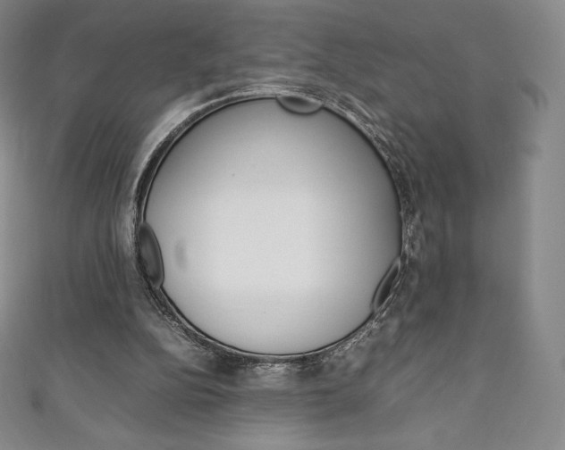X0000111140152200906301024