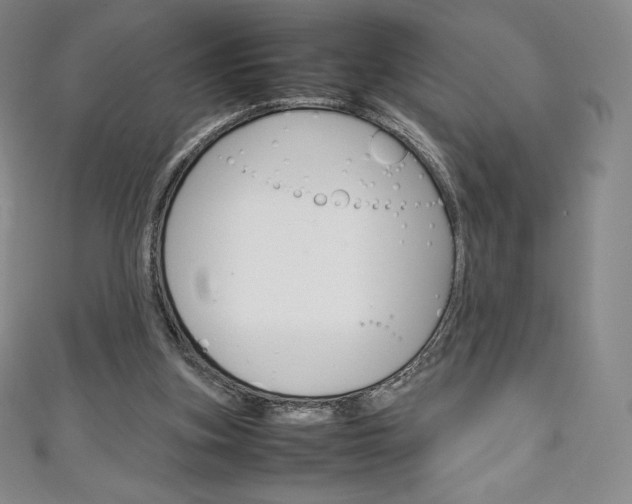 X0000111140155200906301024