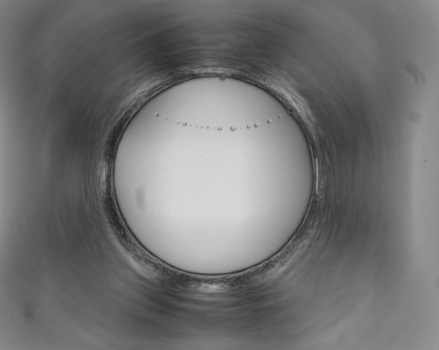 X0000111140157200906301024